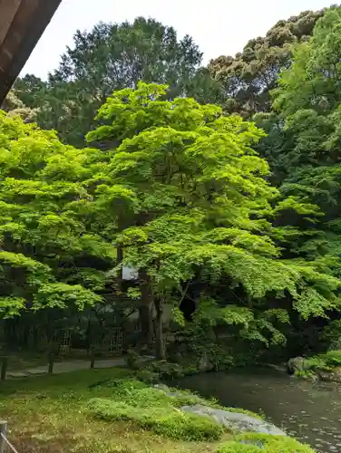 南禅院(京都府)