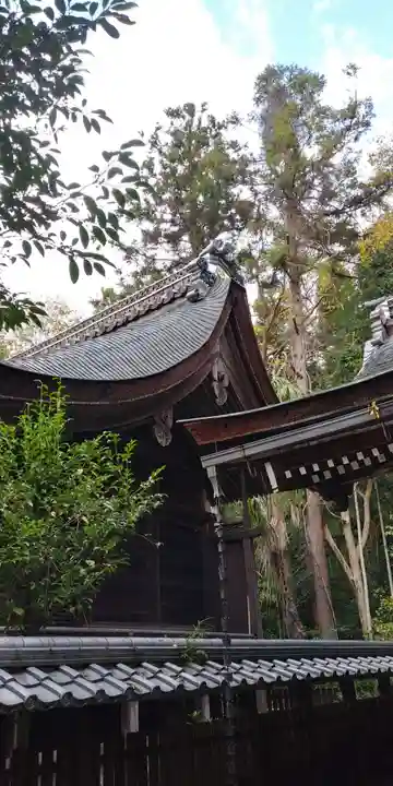 高野神社の本殿・本堂
