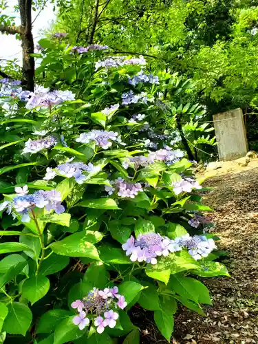 隠津島神社(福島県)