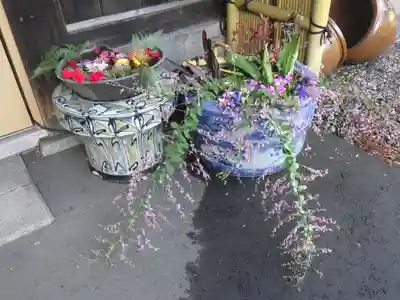多賀神社の手水舎