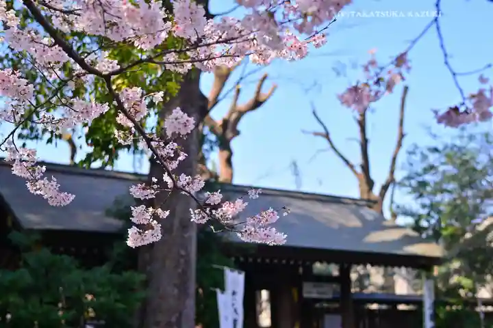 阿佐ヶ谷神明宮(東京都)