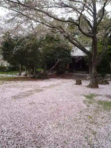 琴平大神の庭園