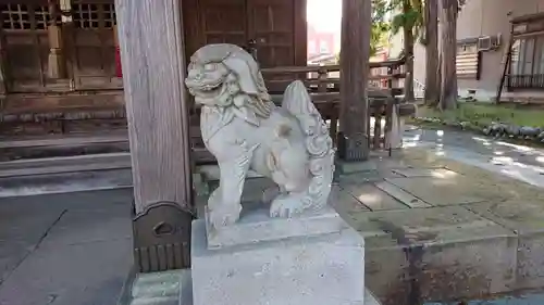 八坂神社の狛犬