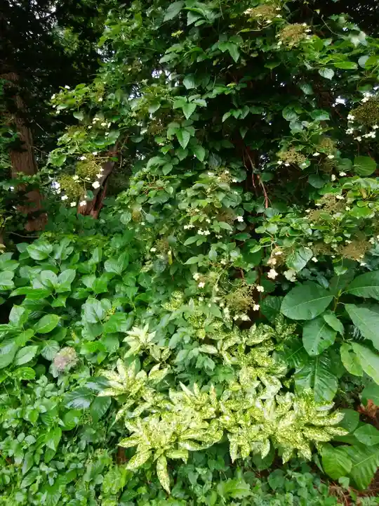 天満宮(北海道)