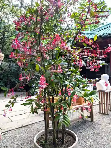 赤坂氷川神社(東京都)