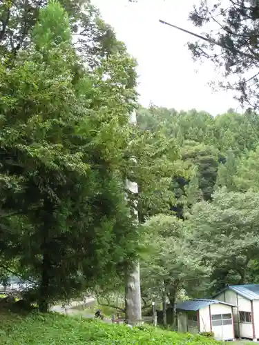 諏訪大社上社前宮(長野県)