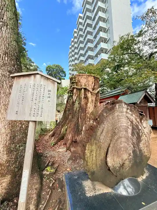 生田神社(兵庫県)
