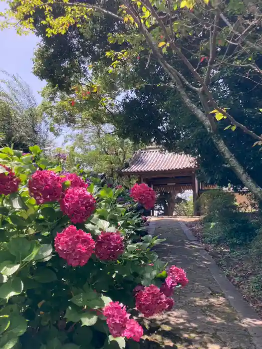 長岳寺の山門