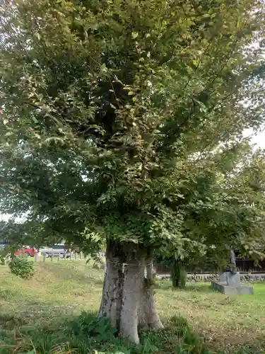 宗像神社(埼玉県)