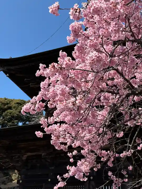 楽法寺(雨引観音)(茨城県)