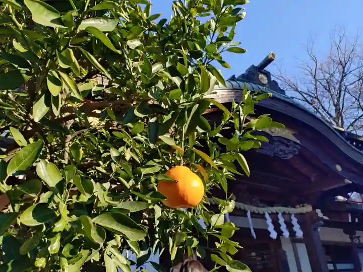 大國魂神社(東京都)