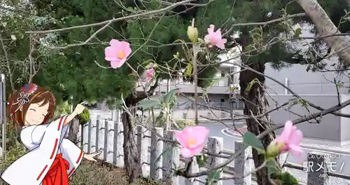 奥戸天祖神社のその他建物