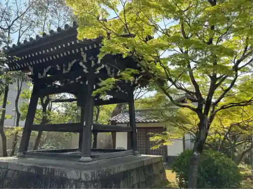 廬山寺（廬山天台講寺）(京都府)