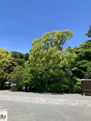 鎌倉宮(神奈川県)