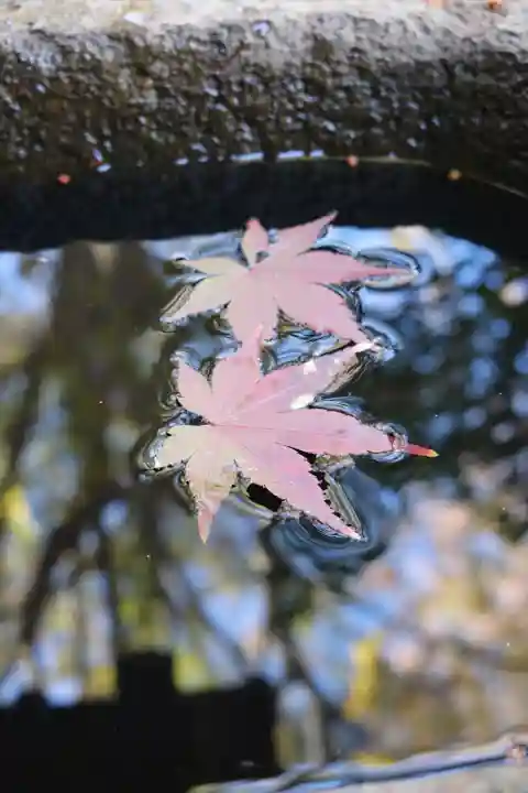明王院(満願寺別院)の自然