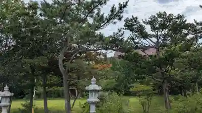 洞爺湖神社の自然