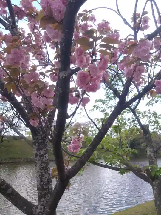 福岡縣護國神社(福岡県)