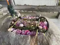 立志神社の{uncategorized: "未分類", other: "その他", undefined: "問題あり", building: "その他建物", grave: "お墓", sacred_gate: "鳥居", guardian: "狛犬", statue: "像", buddha: "仏像", history: "歴史", nature: "自然", garden: "庭園", animal: "動物", pagoda: "塔", temizu: "手水舎", mountain_gate: "山門・神門", sanctuary: "本殿・本堂", subordinate: "末社・摂社", art: "芸術", scenery: "景色", jizo: "地蔵", ema: "絵馬", goshuin: "御朱印", omikuji: "おみくじ", items: "授与品その他", amulet: "お守り", goshuincho: "御朱印帳", eats: "食事", festival: "お祭り", votive_dance: "神楽", shichigosan: "七五三参", wedding: "結婚式", experience: "体験その他", initially: "初詣", around: "周辺", anti_infection: "感染症対策"}