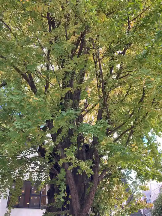 天祖神社の自然