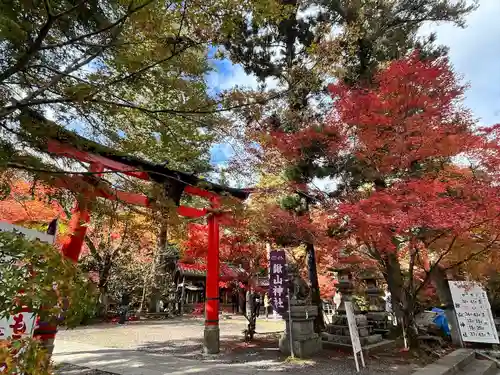 鍬山神社(京都府)