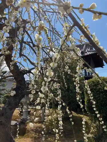 宗栄寺(愛知県)