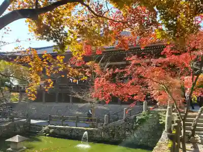 播州清水寺の本殿・本堂