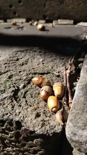 相馬神社(北海道)