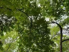 千歳神社(北海道)