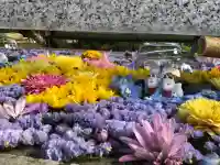 竹駒神社(宮城県)