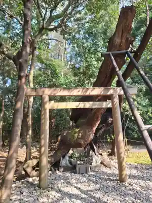 月夜見宮（豊受大神宮別宮）の{uncategorized: "未分類", other: "その他", undefined: "問題あり", building: "その他建物", grave: "お墓", sacred_gate: "鳥居", guardian: "狛犬", statue: "像", buddha: "仏像", history: "歴史", nature: "自然", garden: "庭園", animal: "動物", pagoda: "塔", temizu: "手水舎", mountain_gate: "山門・神門", sanctuary: "本殿・本堂", subordinate: "末社・摂社", art: "芸術", scenery: "景色", jizo: "地蔵", ema: "絵馬", goshuin: "御朱印", omikuji: "おみくじ", items: "授与品その他", amulet: "お守り", goshuincho: "御朱印帳", eats: "食事", festival: "お祭り", votive_dance: "神楽", shichigosan: "七五三参", wedding: "結婚式", experience: "体験その他", initially: "初詣", around: "周辺", anti_infection: "感染症対策"}