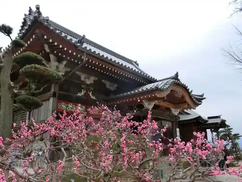 地蔵寺の自然