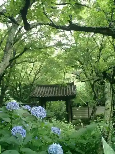 瑞泉寺の山門