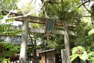 赤坂氷川神社(東京都)