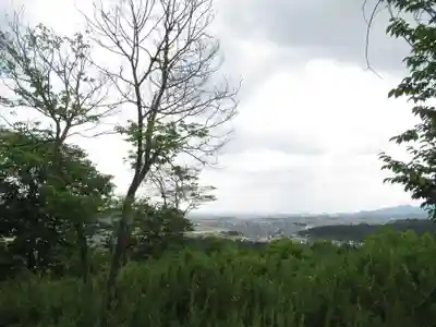 賀茂別雷神社(栃木県)