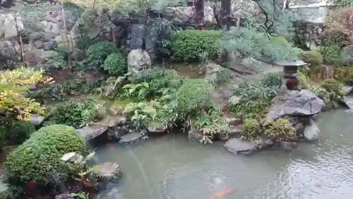 金臺寺（金台寺）の庭園