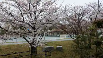 龍王宮秀郷社（橋守神社）(滋賀県)