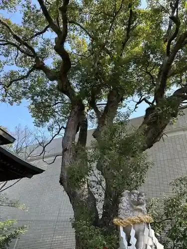 貴布禰神社(静岡県)