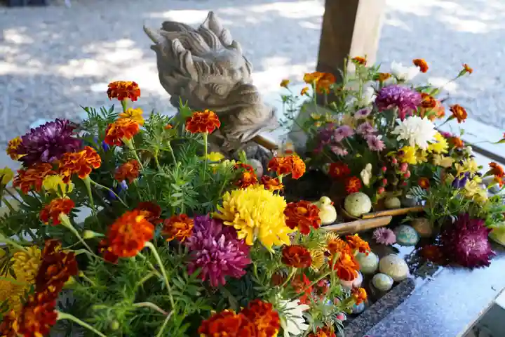 滑川神社 - 仕事と子どもの守り神の手水舎