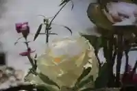 熊野福藏神社の手水舎