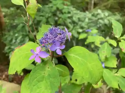 惣河内神社の自然