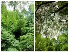 貴船神社奥宮(京都府)