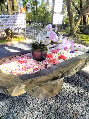 福母八幡宮の手水舎