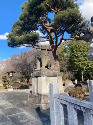 長野縣護國神社(長野県)