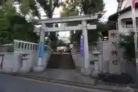 幡ケ谷氷川神社の鳥居