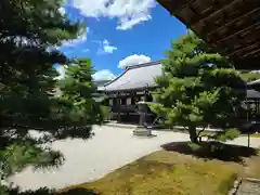 大覚寺(京都府)