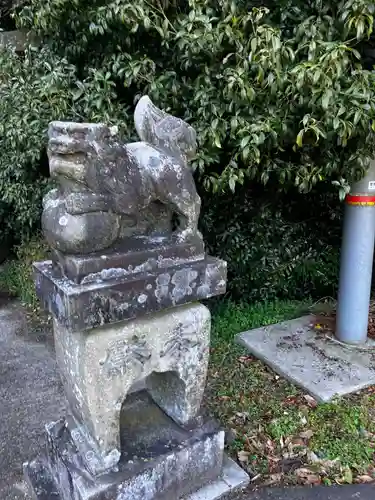 天満神社の狛犬