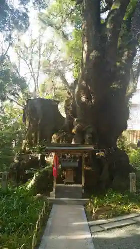 來宮神社(静岡県)