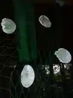 神明神社(愛知県)