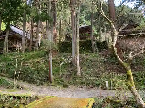 横蔵寺の周辺