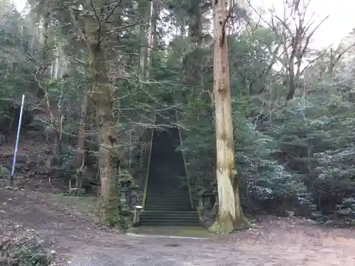 二上神社の自然